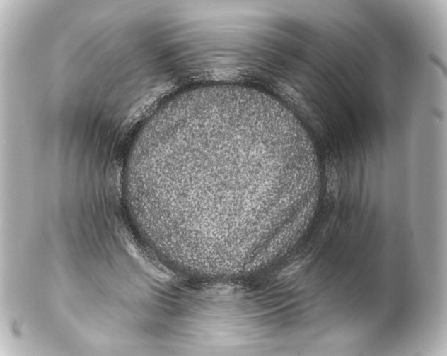 X0000101430542200807281003