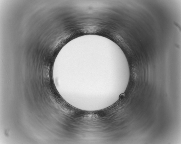 X0000101430543200807281003