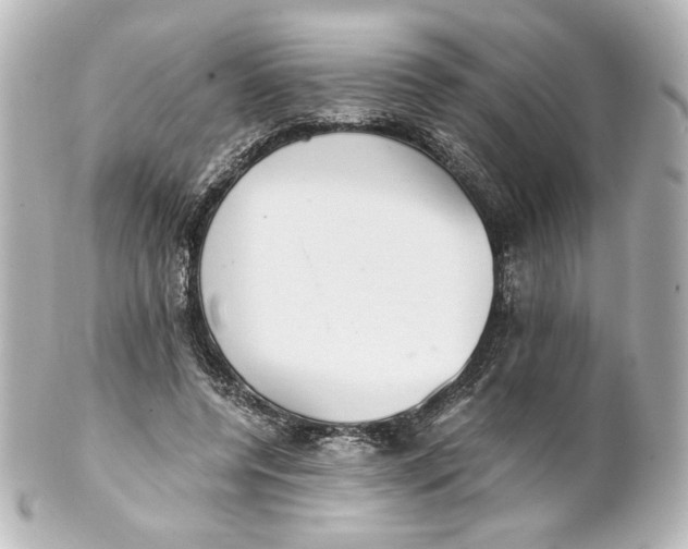 X0000101430544200807281003