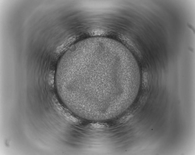 X0000101430545200807281003