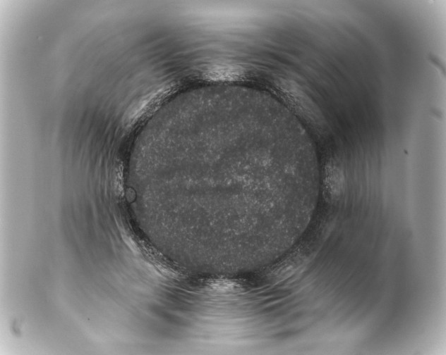 X0000101430547200807281003