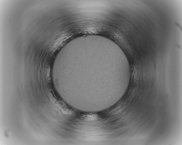 X0000101430548200807281003