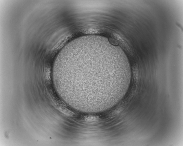 X0000101430549200807281003