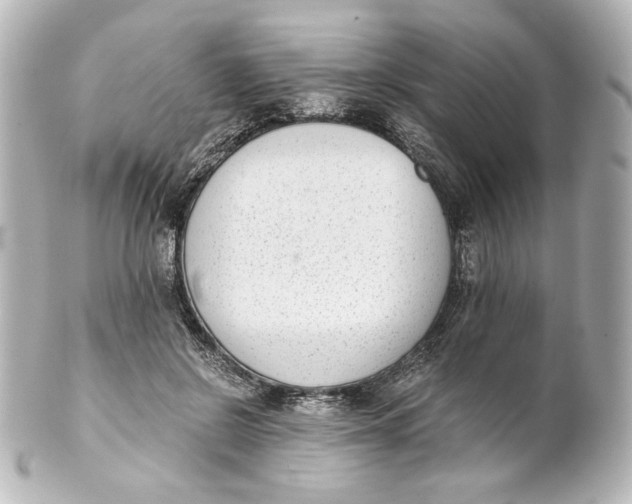 X0000101430550200807281003