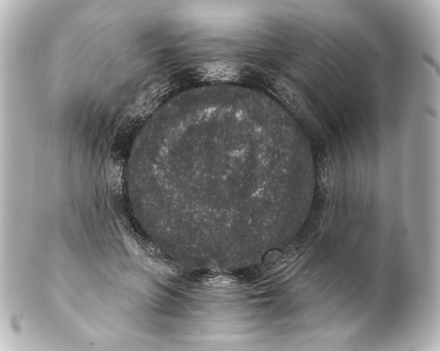 X0000101430551200807281003