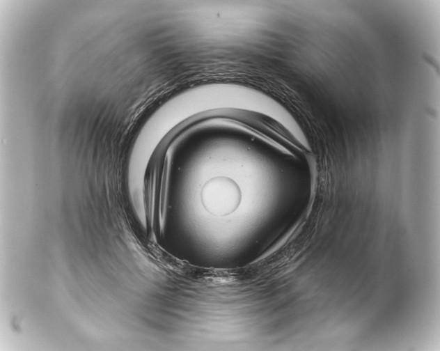 X0000101430552200807281003