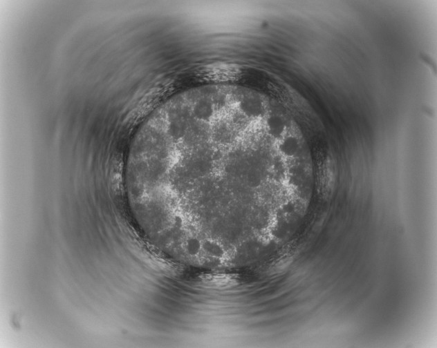 X0000101430553200807281003