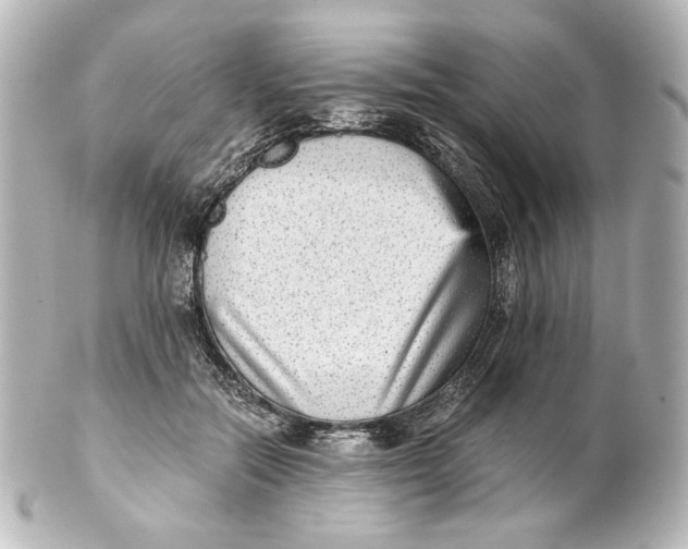 X0000101430554200807281003