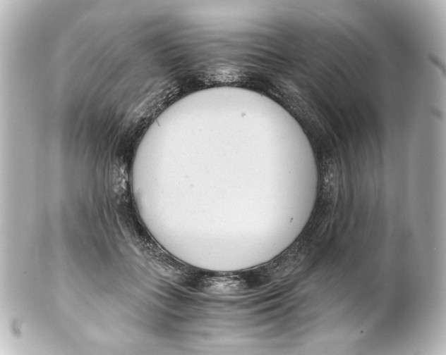 X0000101430555200807281003