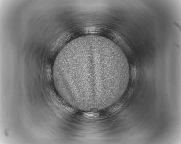 X0000101430557200807281003