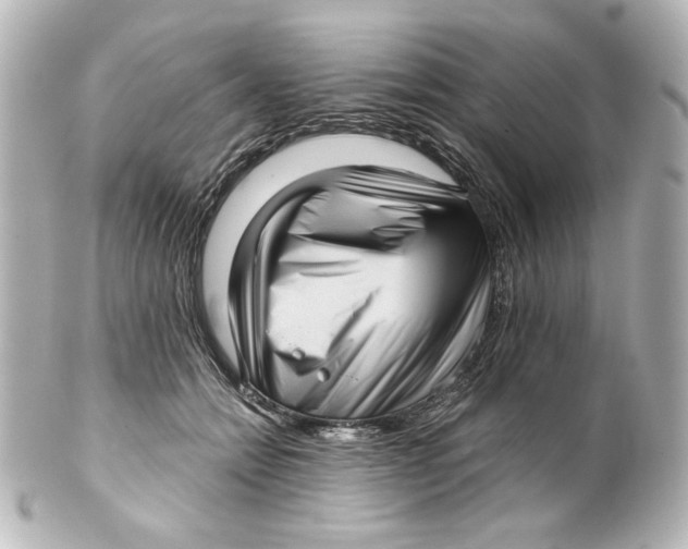 X0000101430558200807281003