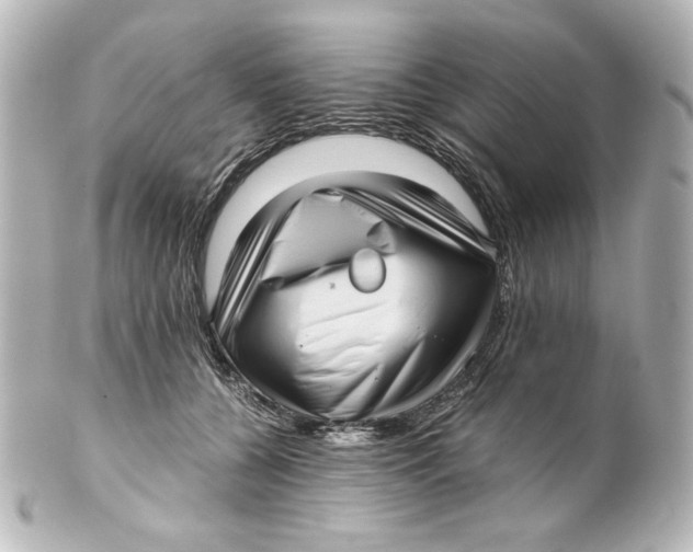 X0000101430560200807281003