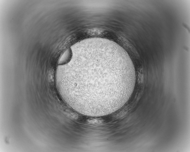 X0000101430561200807281003