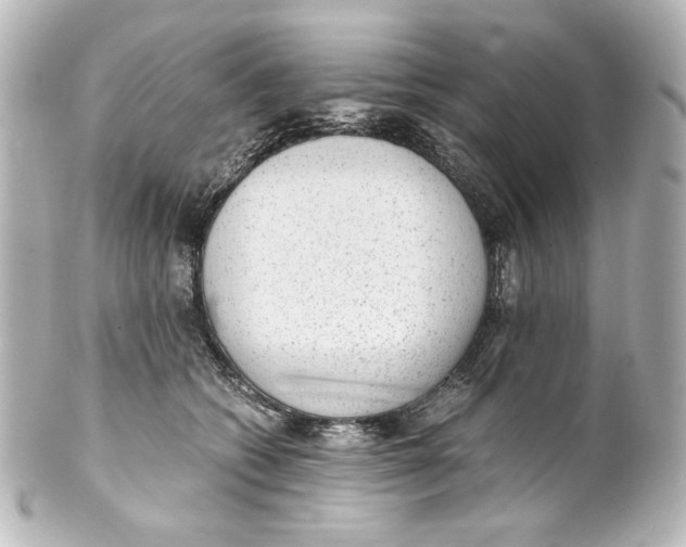 X0000101430562200807281003