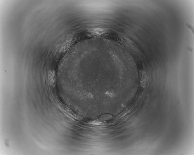 X0000101430563200807281003