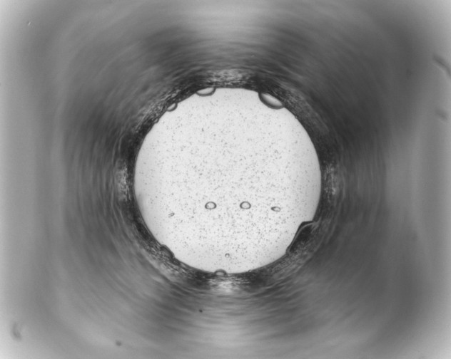 X0000101430564200807281003