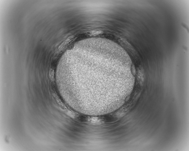 X0000101430565200807281003