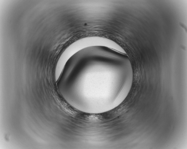 X0000101430566200807281003