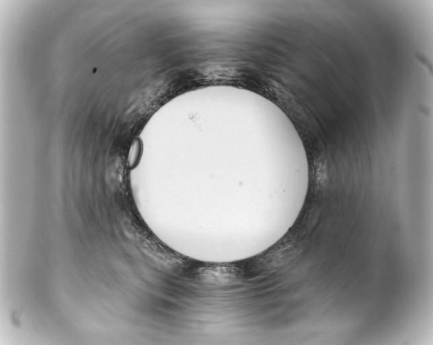 X0000101430567200807281003