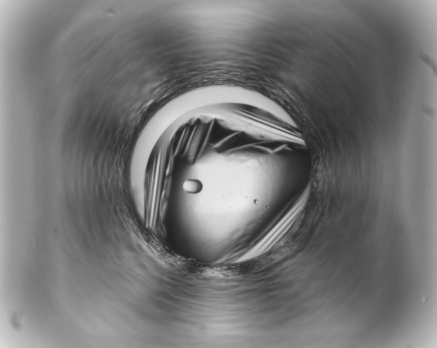 X0000101430568200807281003