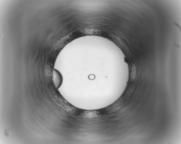 X0000101430569200807281003