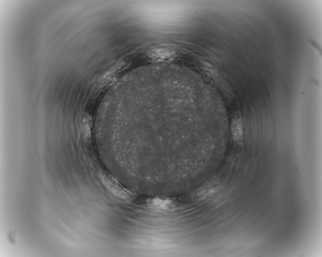 X0000101430570200807281003