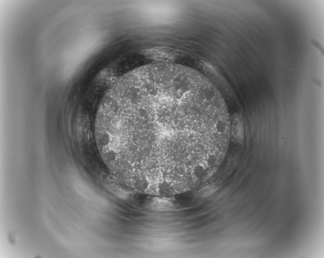 X0000101430573200807281003