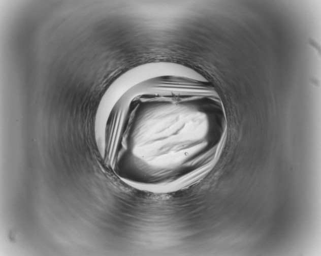 X0000101430576200807281003