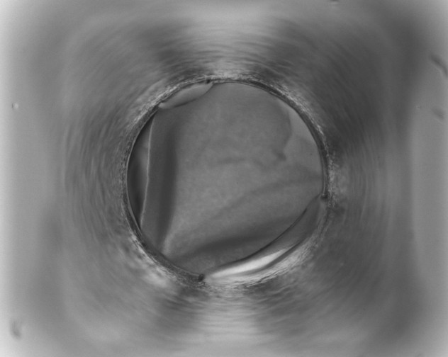 X0000101430577200807281003