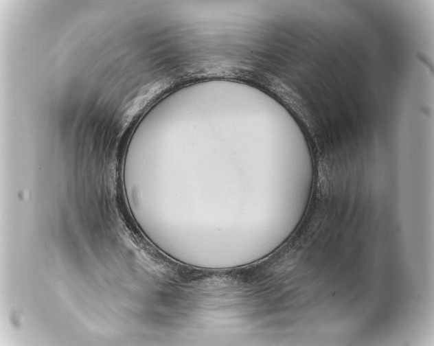 X0000101430578200807281003