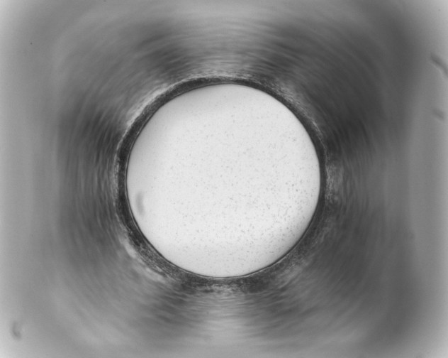 X0000101430580200807281003