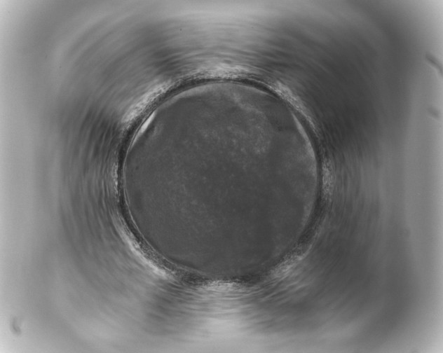 X0000101430581200807281003