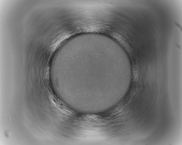 X0000101430583200807281003