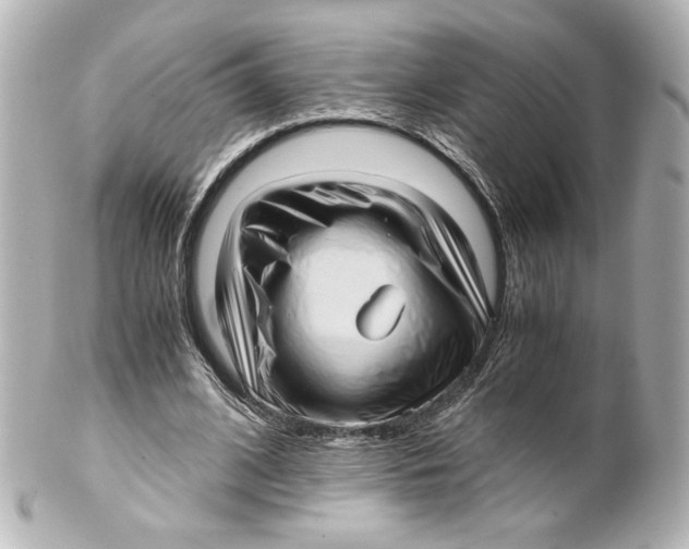 X0000101430584200807281003