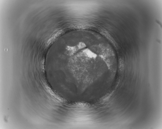 X0000101430585200807281003