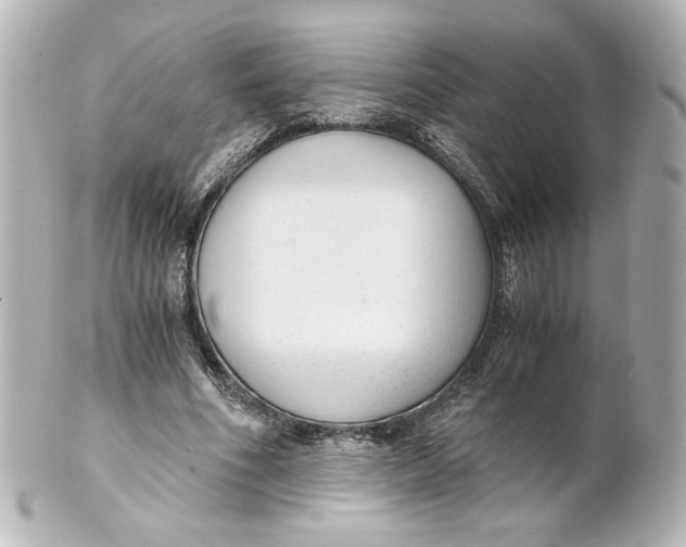 X0000101430586200807281002