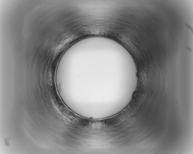 X0000101430587200807281002