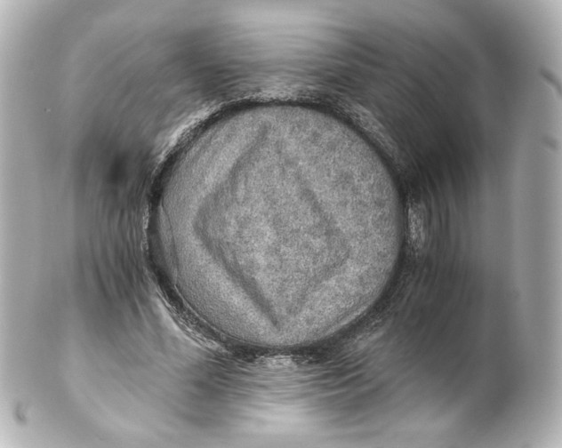 X0000101430588200807281002