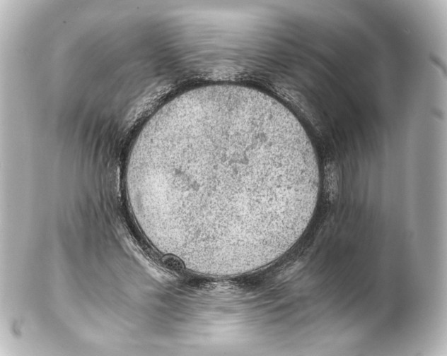 X0000101430589200807281002