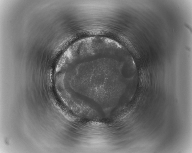 X0000101430590200807281002