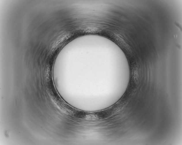 X0000101430591200807281002