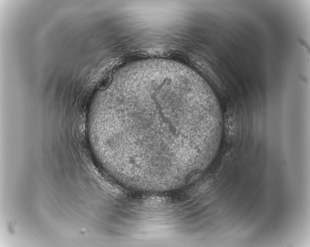 X0000101430593200807281002