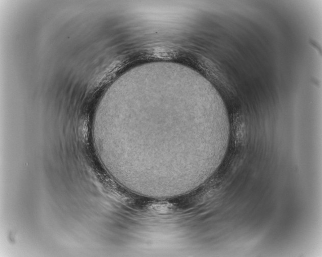 X0000101430595200807281002