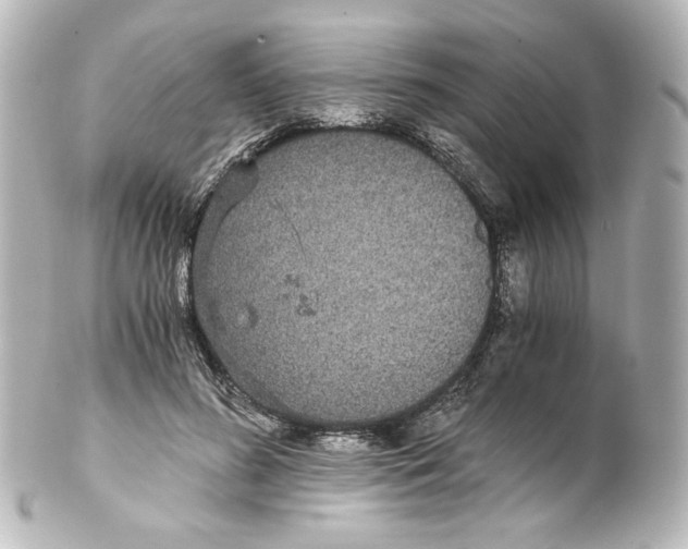 X0000101430596200807281002