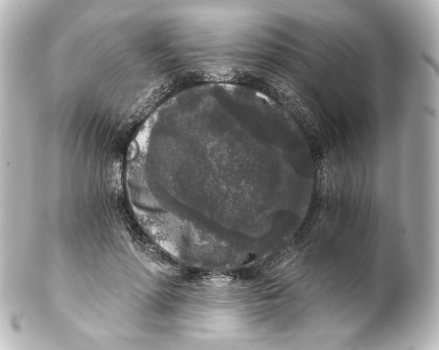 X0000101430598200807281002