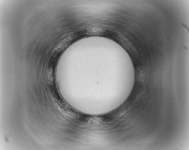 X0000101430599200807281002