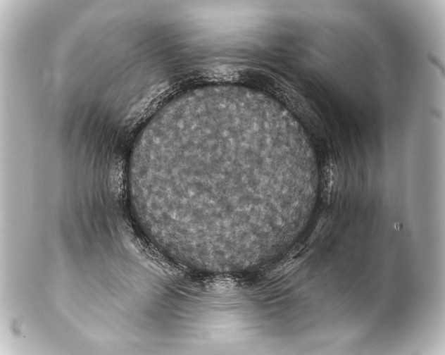 X0000101430600200807281002