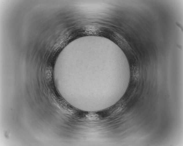 X0000101430603200807281002