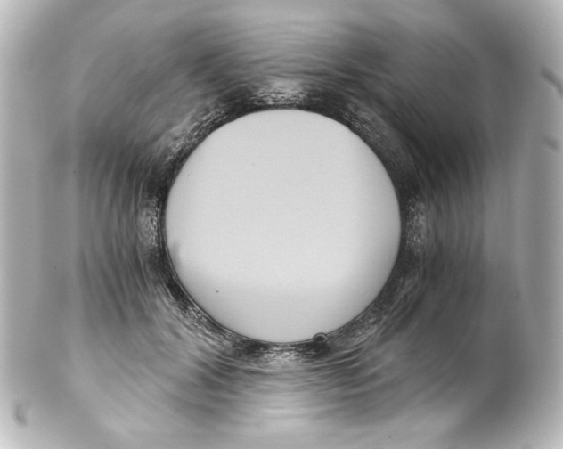 X0000101430604200807281002