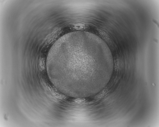 X0000101430606200807281002